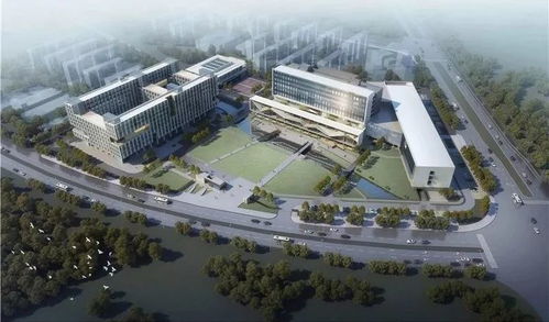 中官路双创大街将崛起一所高水平大学,预计2020年建成